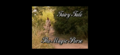 Fairy Tale The Magic Purse