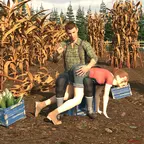 08-august-harvest_camera