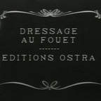 Dressage au Fouet