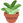 :potted_plant: